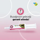 İNTEGRO DİRENÇ BUZAĞI ŞIRINGA JEL (50 GR X 5 ADET ) - 2