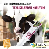 İNTEGRO DİRENÇ BUZAĞI ŞIRINGA JEL (50 GR X 5 ADET ) - 1