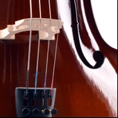 Çello (Viyolonsel) Parlak Cilalı 3/4 MC34DC thumbnail 4