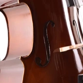 Çello (Viyolonsel) Parlak Cilalı 3/4 MC34DC thumbnail 3