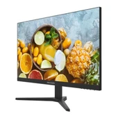 Hikvision DS-D5024FN10 23.8" 75Hz 6.5Ms VGA+HDMI FullHD VA Vesa Monitör - 3