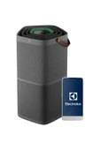 Electrolux EPO60571DG Pure 600 HEPA Filtreli Hava Temizleme Cihazı - 1