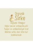 VEZİY Doğal Organik Pamuklu Cep Mendilli 300 Yaprak (20x15) - 2