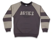 ARTIEZ BASKILI ERKEK SWEATSHIRT - 2