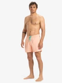 Quiksilver EVERYDAY SOLID VOLLEY 15 Erkek Volley Short EQYJV04120-QK.MEF0 thumbnail 5