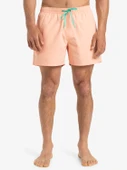 Quiksilver EVERYDAY SOLID VOLLEY 15 Erkek Volley Short EQYJV04120-QK.MEF0 thumbnail 1