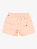 Quiksilver EVERYDAY SOLID VOLLEY 15 Erkek Volley Short EQYJV04120-QK.MEF0 thumbnail 8