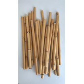 Bambu 50 Cm 12 Li Paket Hobi Hammadde - 6