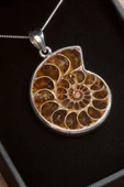 Sertifikalı Ammonit Fosil Doğal Taş Kolye - Aaa+ Kalite thumbnail 4