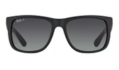 Ray-Ban RB 4165 622/T3 55 POLARİZE Unisex Güneş Gözlüğü thumbnail 2