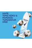 Rexona Kadın Sprey Deodorant Cotton Dry 150 ml x3 Adet - 5