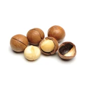 Kavrulmuş Kabuklu Makademya Fındığı - 2