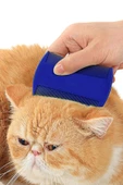 Bit Tarağı Seti Kedi Pire Tarak Fırça Kedi Tüyü Toplama Bit Şampuanı Pire Tozu - 8