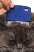Bit Tarağı Seti Kedi Pire Tarak Fırça Kedi Tüyü Toplama Bit Şampuanı Pire Tozu - 7