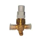 Blue BLR-6410/2 1/4'' Rakorlu Capped Valf ( Ara Vana ) - 1