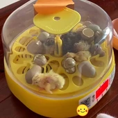 Mini Otomatik Ev Tipi Kuluçka: Papağan Bıldırcın Kuluçka Makinesi 18li Yumurtalı Mx-18 thumbnail 3