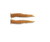 Berkley Gulp Sandworm 5cm LRF Silikonu Renk: Natural thumbnail 1