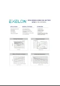 Exelon 12 Volt 100 Amper Jel Akü - 4