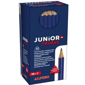 Alpino Kurşun Kalem Junıor 144 Lü Ju-015 - 1