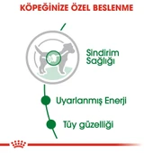 Royal Canin Mini Adult Soslu Köpek Konservesi 85 gr - 5