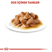 Royal Canin Mini Adult Soslu Köpek Konservesi 85 gr - 3
