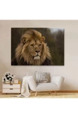 Aslan Dekoratif Kanvas Tablo 1159 - 2