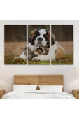 St. Bernard  Köpek ve Yavru Kediler Dekoratif Kanvas Tablo 1124 - 3