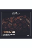 GLOWWAX Oto Ve Oda Parfümü 'odunsu' Koku 5 Litre - 3