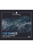 GLOWWAX Oto Ve Oda Parfümü Okyanus Kokusu 5 Litre - 3