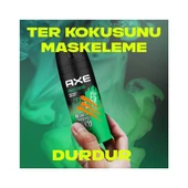 Axe Deodorant Jungle Fresh 150 ml - 4