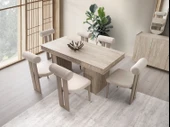 TRAVERTEN MDF MASA +6 SANDALYE - 1
