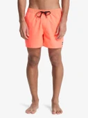 Quiksilver EVERYDAY SOLID VOLLEY 15 Erkek Volley Short EQYJV04120-QK.MKZ0 thumbnail 1