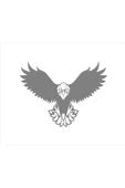 SEÇ Kartal Kanatları Açık Kartal Sticker - 1