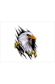 SEÇ Pençe Kartal Renkli Sticker Çok Amaçlı Sticker Etiket - 1