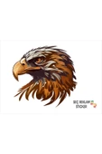 SEÇ Kartal  Sticker Çok Amaçlı Sticker Araç Sticker - 1