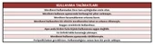 ASVERA 2+2 ÇİFT ÇIKIŞLI PROFİL MERDİVEN - 7