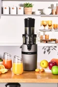 Slow Juicer Yavaş Sıkım Katı Meyve Sıkacağı - 1
