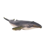 JQ-008b Deniz Hayvanları -gepettoys - 5