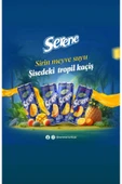 SERENE PARÇACIKLI ANANAS SUYU 240 ML (24 ADET) - 4