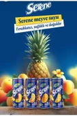 SERENE PARÇACIKLI ANANAS SUYU 240 ML (24 ADET) - 3