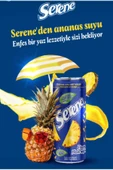 SERENE PARÇACIKLI ANANAS SUYU 240 ML (24 ADET) - 2