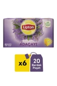 Lipton Adaçayı Bardak Poşet Çay X 6 Adet - 1