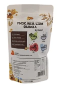 Sade Organik YER FISTIKLI - İNCİR ÜZÜM GRANOLA 200 GR 2 Lİ PAKET - 2