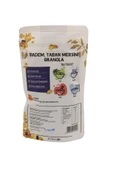 Sade Gurme YER FISTIKLI -YABAN MERSİNLİ GRANOLA 200 GR 2 Lİ PAKET - 2
