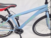 Dorello 26 jant bisiklet 2640 model double jant özel yapım bisiklet - 1