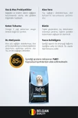 Reflex Plus Skin&Coat Somonlu Mini ve Küçük Irk Yetişkin Köpek Maması 3 Kg - 3