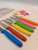 Çaylaravm Sürbısa 061007 Meyve Bıçağı 6 Lı Set Çok Renkli - 5