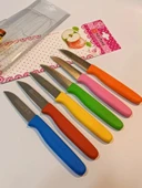 Çaylaravm Sürbısa 061007 Meyve Bıçağı 6 Lı Set Çok Renkli - 11