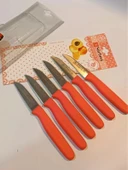 Sürbisa Meyve Takımı Turuncu (6'lı)61007 7.0 cm - 2