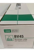 BORAZAN ( SİVRİ ) VİDA 45MM BV45MM (1.000 ADET) - 2